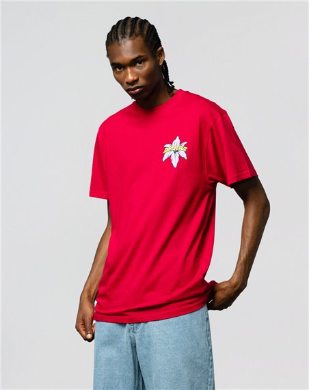 Santa Cruz Camiseta Hombre Wooten Bionic (Port)