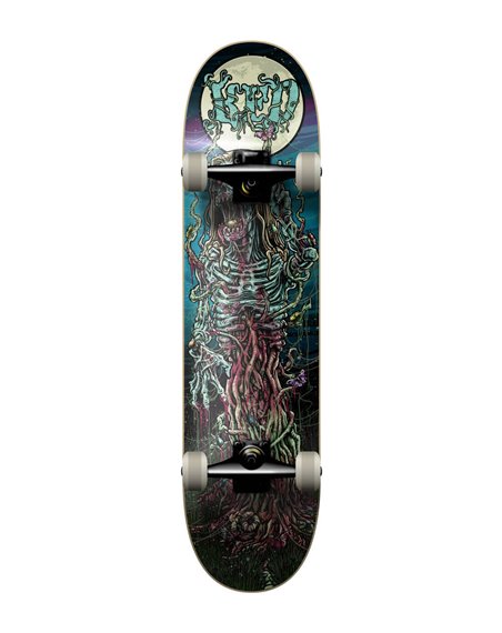 KFD Skateboard Young Gunz 7.825" Hippy Zombie