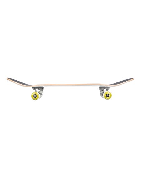 ST Skateboard Complète Flying Fish 7.8"