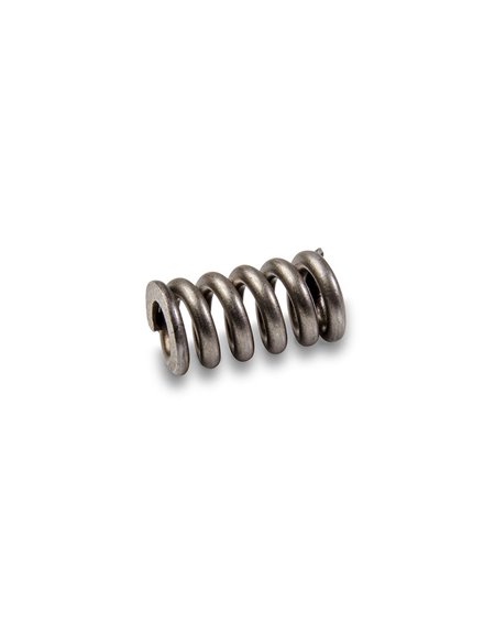 Carver Muelle para Truck Carver C7 Spring